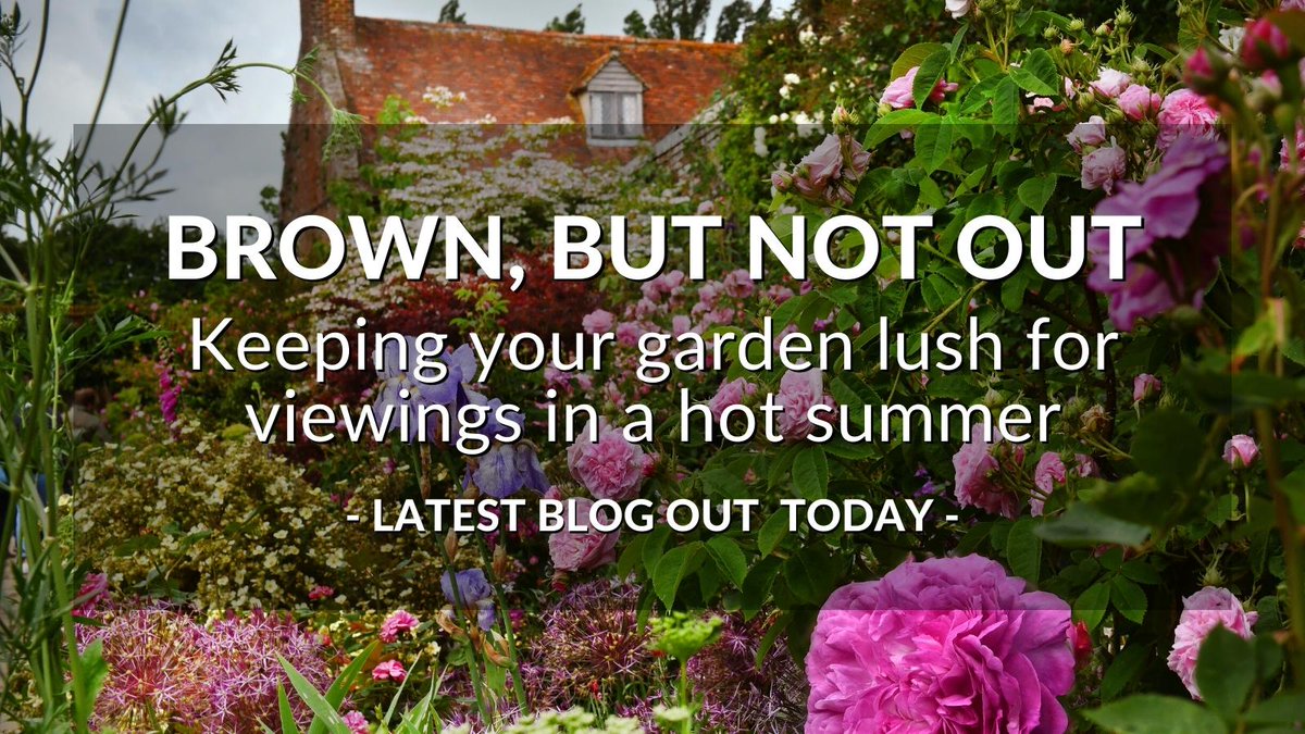 UK gardens are struggling in with hotter summers. Act now with our #gardening tips to keep yours looking a treat in the heat! : cutt.ly/OXIjMxx

#BurgessHillproperty #BurgessHilllettingagent #BurgessHill #homesellingsellips #homeupgrades