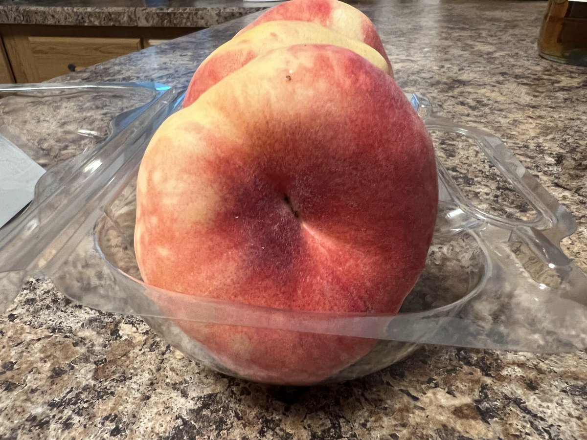 Jersey Joe tweet media