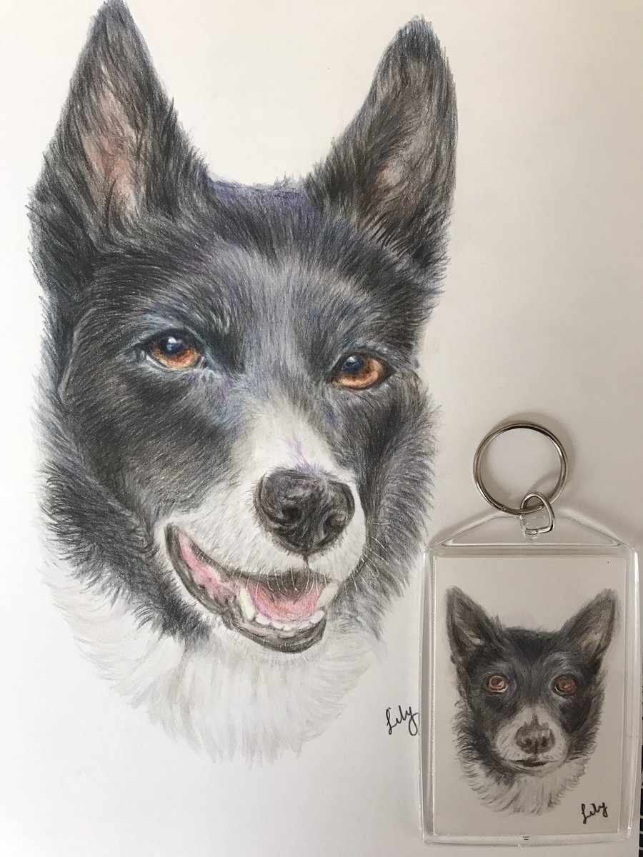 Coco 🐕🥎🐾🐾 tweet media