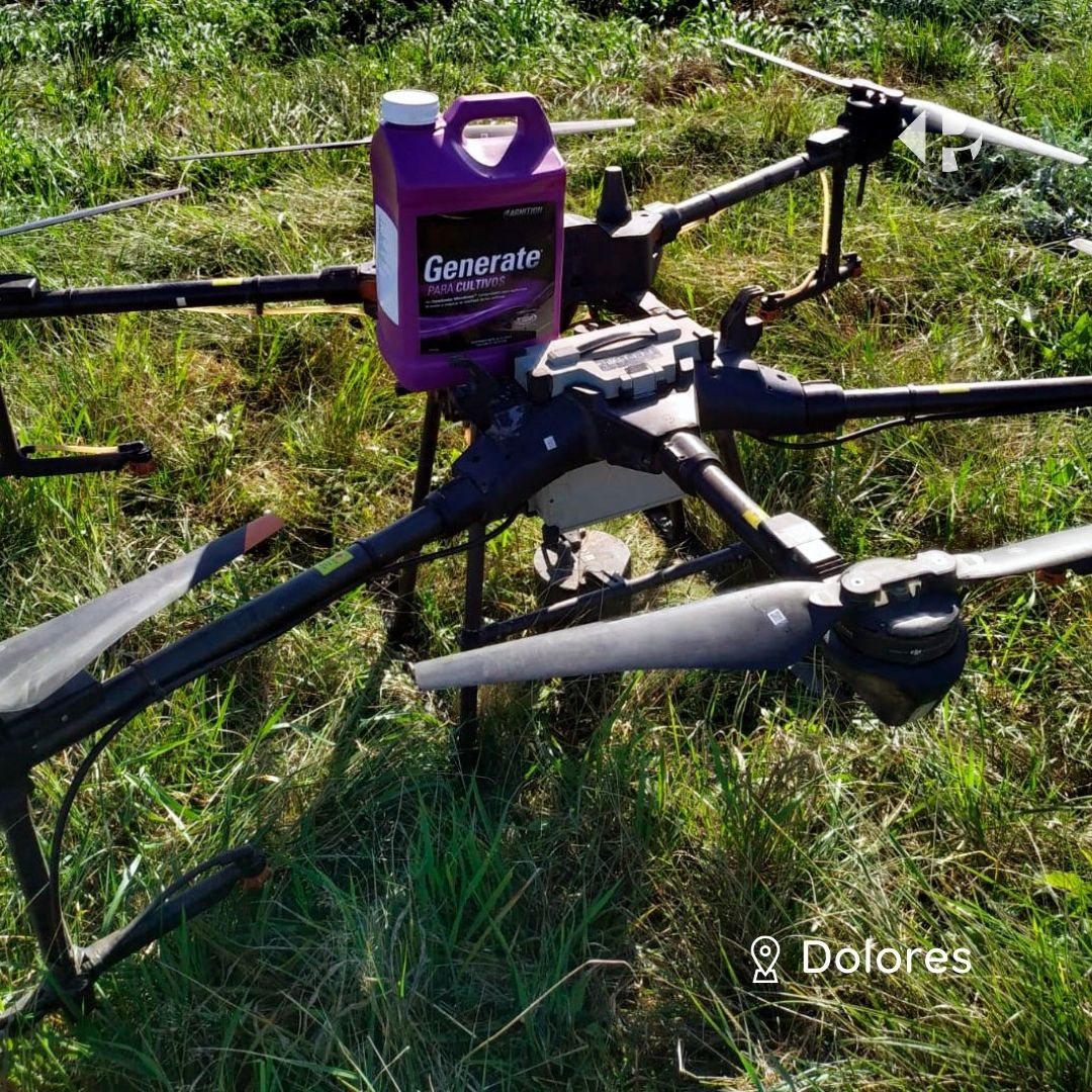 Pro_NutritionAg's tweet photo. ➡️ Evaluación de #generate en período vegetativo de cultivo 🌱 trigo para la empresa @ralcouruguay en la zona de📍Dolores.
.
.
.
.
#evaluacion #periodovegetativo #trigo #campo #zonadolores #agrotecnologia #pronutrition #agrouruguay https://t.co/9Ee0Yc10Qk