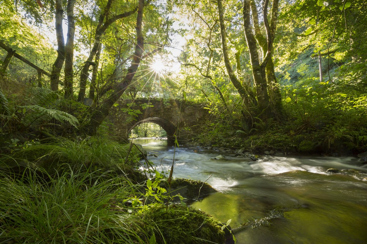 nationaltrust's tweet photo. The simple thrill of dropping a stick off a bridge and rushing to the other side to see who’s won.

Anyone for a game of pooh sticks? https://t.co/N3jIKlK4eA