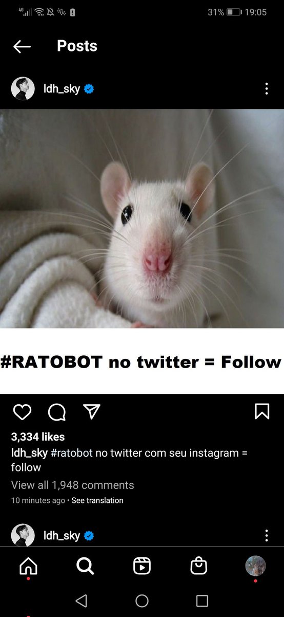 Aya3501's tweet photo. #ratobot https://t.co/TgsqLeVZp5