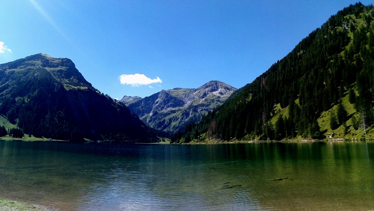 ancientphone82's tweet photo. Visiting the neighbours can be quite impressive, too!  🏞️🇦🇹🤩 #holiday #Allgäu #Obermaiselstein #hiking #Austria #TannheimerTal #Vilsalpsee #crystalclear #mountains #lake #emerald #blessed https://t.co/FbvGX2clkz