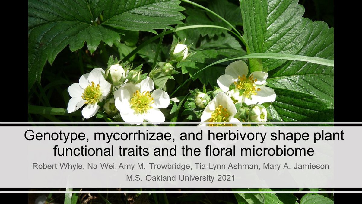 Just wanted to thank for <a href="/DrEMLichtenberg/">Elinor Lichtenberg</a> for sponsoring my trip to #ESA2022 last week. I saw a lot of great talks and was able to speak on my masters research with @maryajamieson, <a href="/amy_trowbridge/">Amy Trowbridge</a>, @dr_tialynn, and <a href="/NaWei_Dr/">Na Wei</a>. It was a truly great experience.