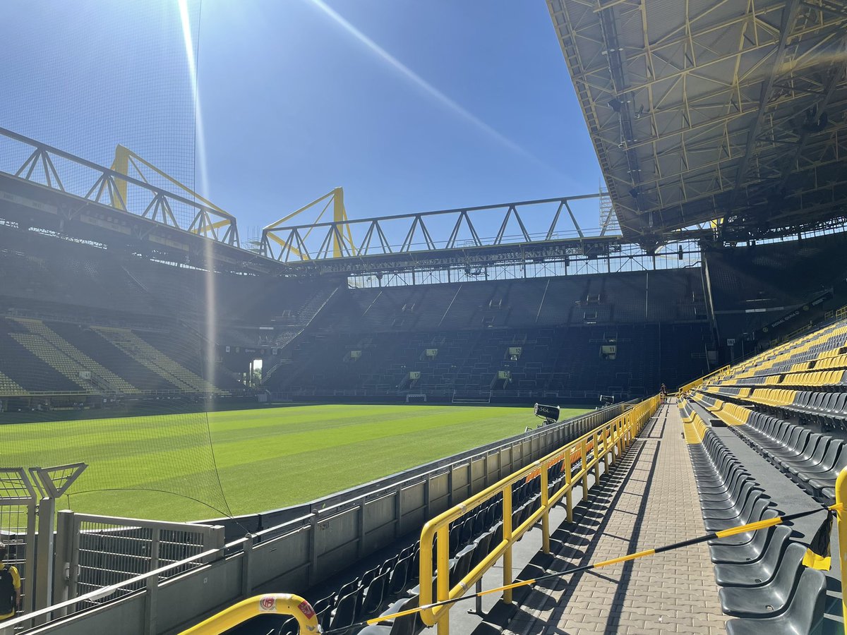 Saley 🌍🏐 tweet media