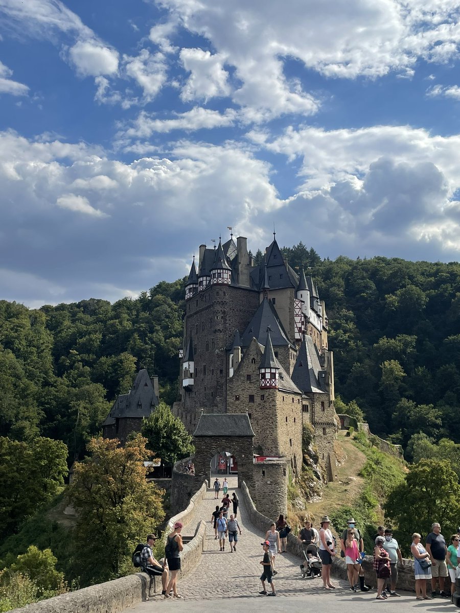 Saley 🌍🏐 tweet media