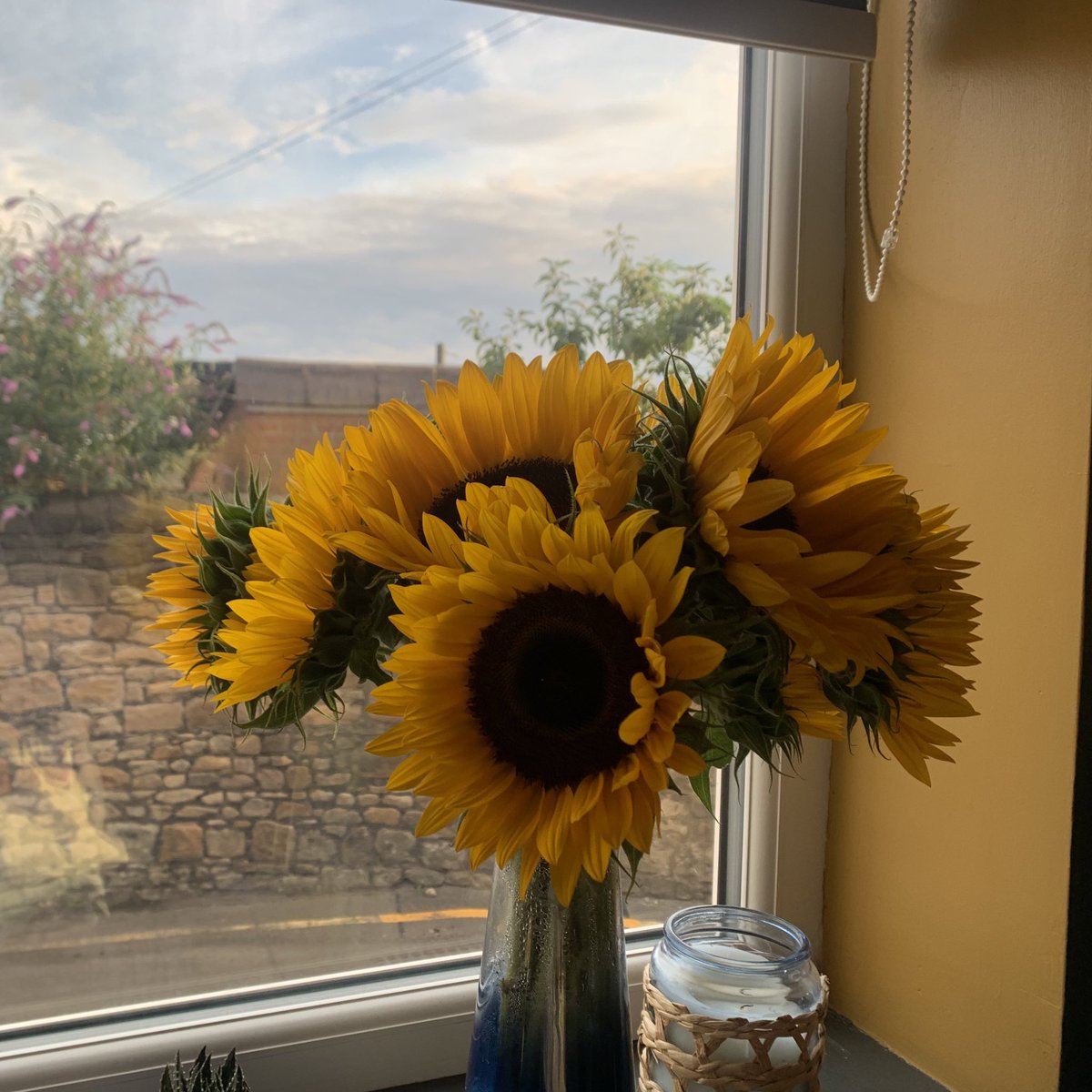 Constantly giving myself mini rewards for making mini milestones - I regret nothing 🌻🌻