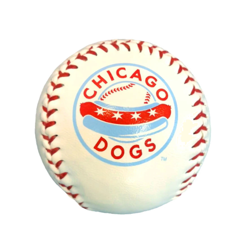 JohnRDallasJr's tweet photo. There's still time to register, please, for tomorrow's (8.24.22) #ThoughtLeadership forum, co-moderated by @mbbi and @EnclaveAcademy at #Rosemont's #ImpactField, home of the incomparable @TheChicagoDogs. Hear keynote talk from the President of @IMA_Today. https://t.co/tG0vNPOzEh https://t.co/LZ1ggsjkz2