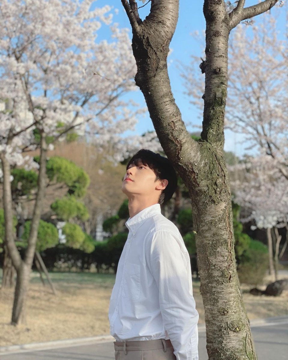 blueskypallette's tweet photo. Spring 2021, ldh_sky posts https://t.co/b1AkGgnJG3
