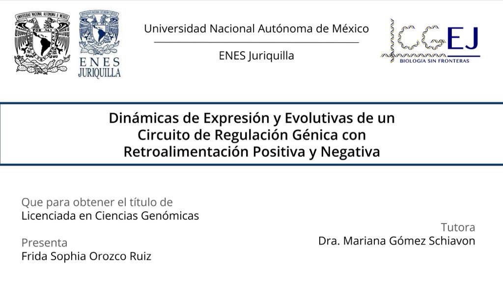 lcgejunam's tweet photo. Congratulations to @soph_orozco, our first student who has officially graduated with well-deserved honors from the Genomic Sciences bachelor program at Enes Juriquilla, UNAM.❤️🎉🎉 https://t.co/etOY4Ho9vb