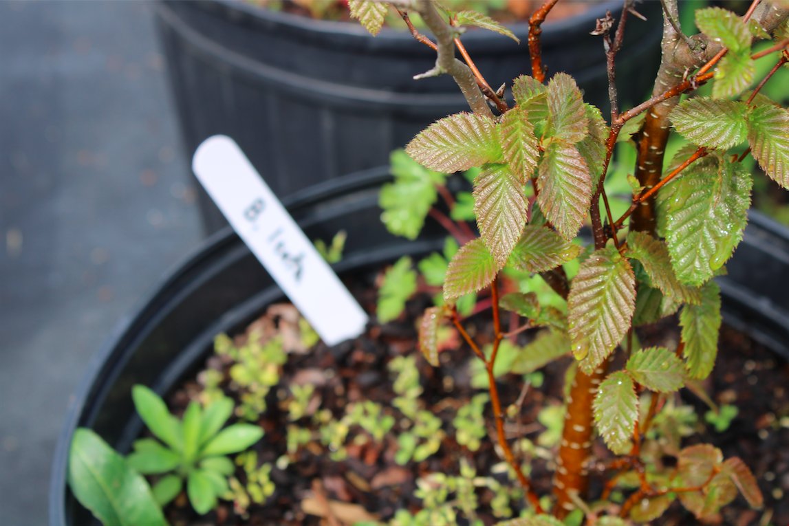 LandHealth Institute tweet media