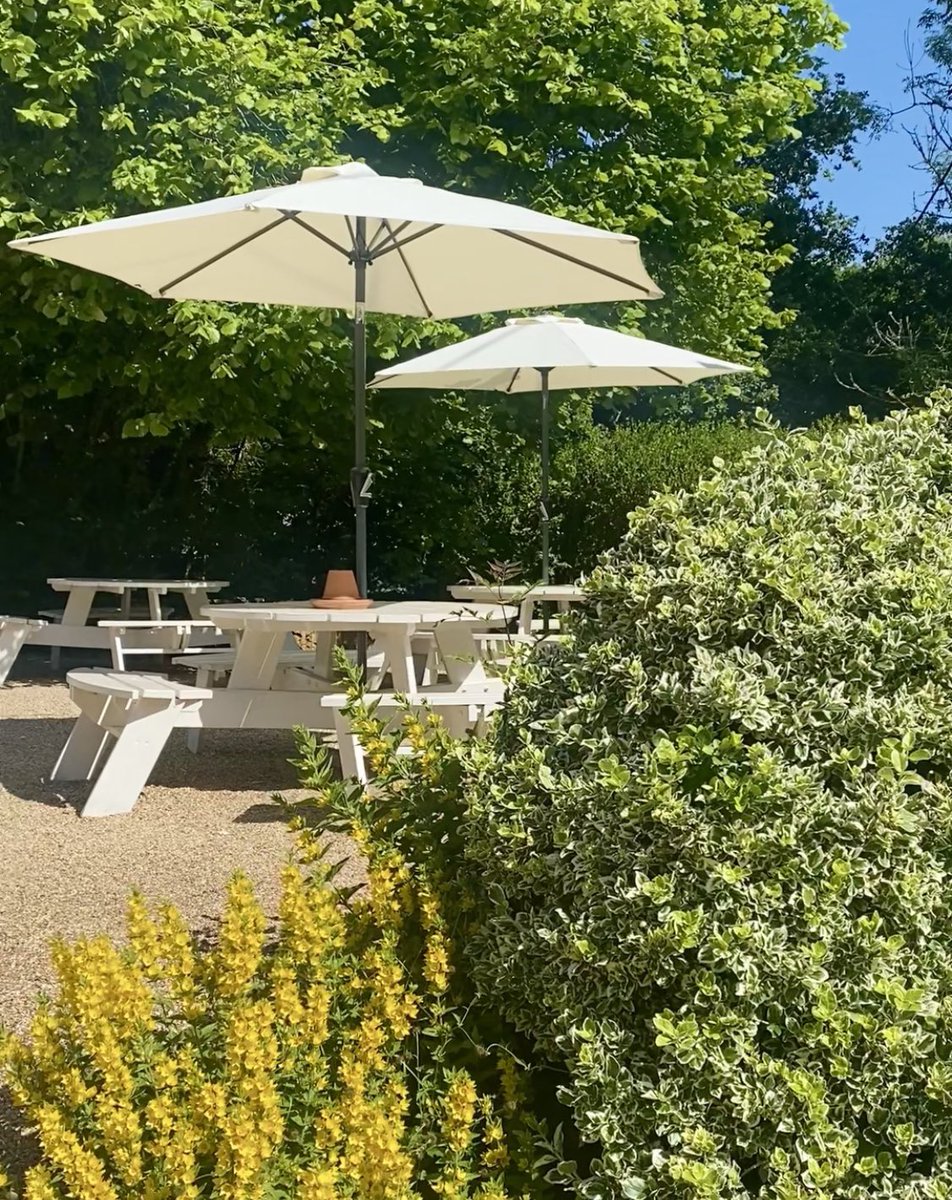 Merry Harriers tweet media