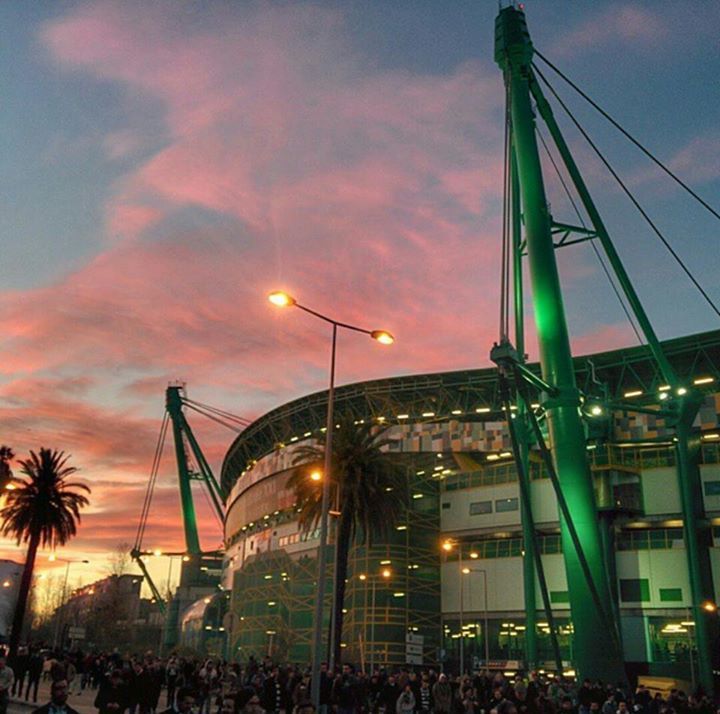afonso_acc's tweet photo. Este estádio é simplesmente perfeito💚 https://t.co/aq1PC8TsyF