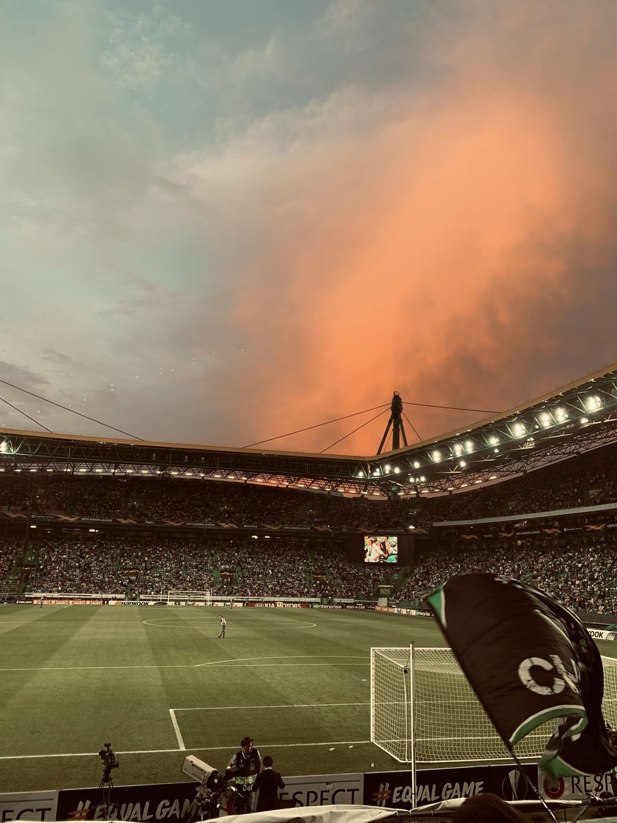 Este estádio é simplesmente perfeito💚