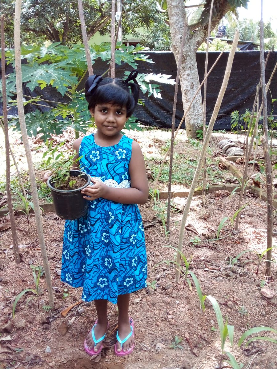 trees_half's tweet photo. ♥We are proud to rule a proud land that changed the history of the world under you. You have proved that women are very talented. That is why we celebrate your birthday. Happy birthday to you, an educated and intelligent world leader.

#Amazon #Singapore https://t.co/z5sMp8L53e