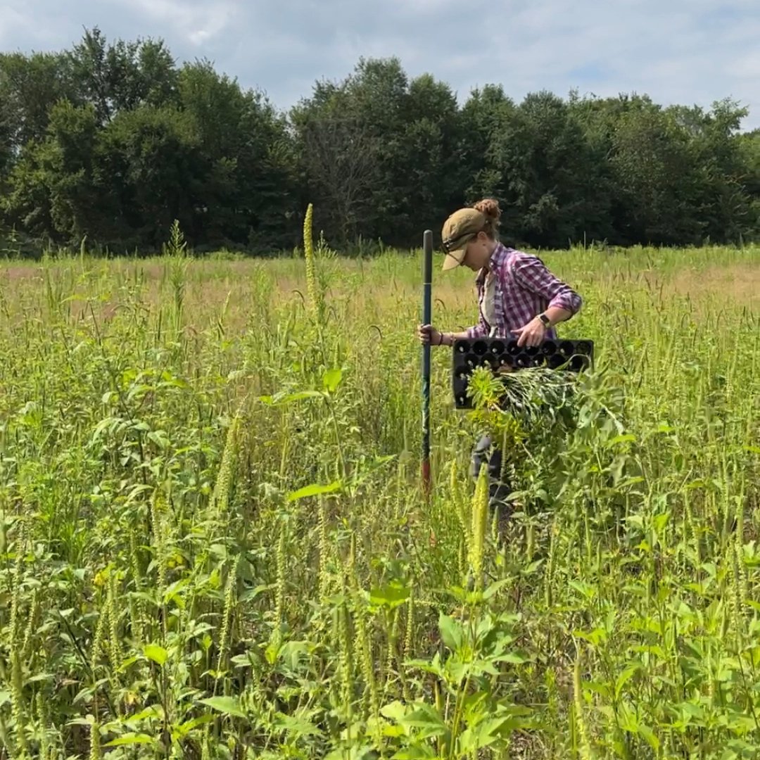 Ives Road Fen Preserve  The Nature Conservancy in Michigan