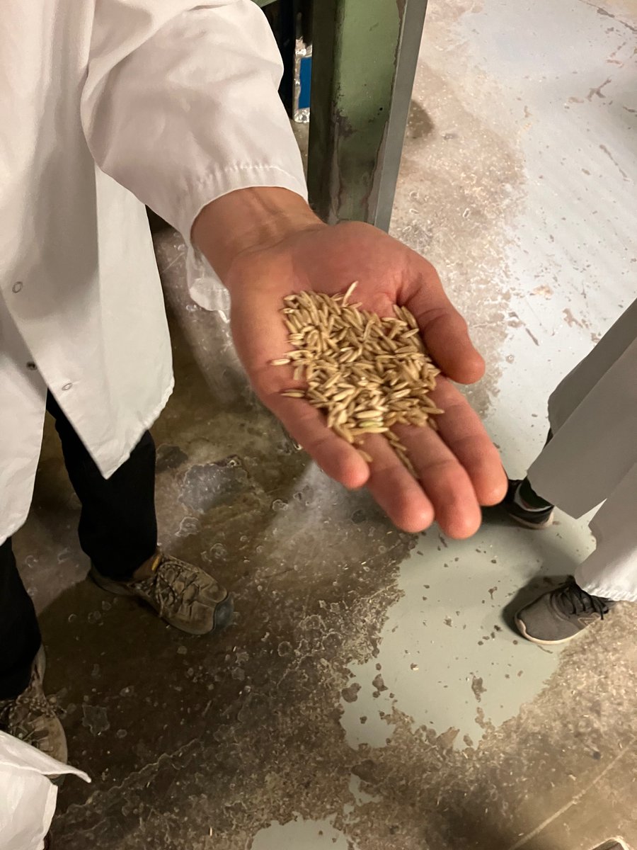 SenatorRobBlack's tweet photo. I had the opportunity to stop by @AvenaFoods this morning to learn more about the oat processing market. Thanks to Mike and James for the informative tour of your facilities! #SaskAg #AgricultureMatters https://t.co/rEYmUJ6Th5