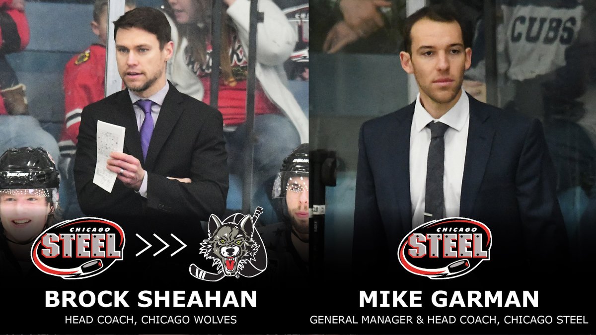 BROCK SHEAHAN HIRED BY CAROLINA HURRICANES TO BE CHICAGO WOLVES HEAD COACH

General Manager Mike Garman named Steel Head Coach for 2022-2023 season

READ: chicagosteelhockeyteam.com/news_article/s…

#FeelSteel | <a href="/Chicago_Wolves/">Chicago Wolves</a> | <a href="/Canes/">Carolina Hurricanes</a>
