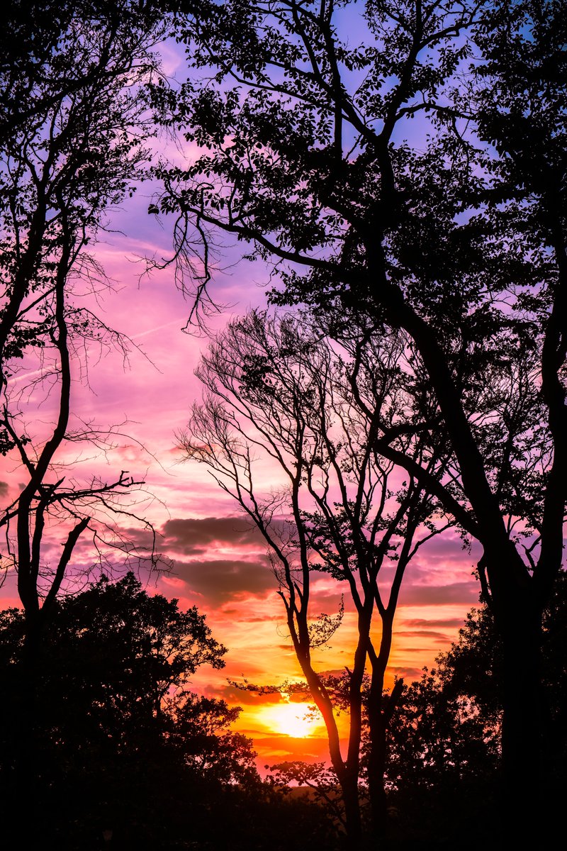 quhl5's tweet image. See the sun again.
#NaturePhotography #quhl5 #oeace 🕊