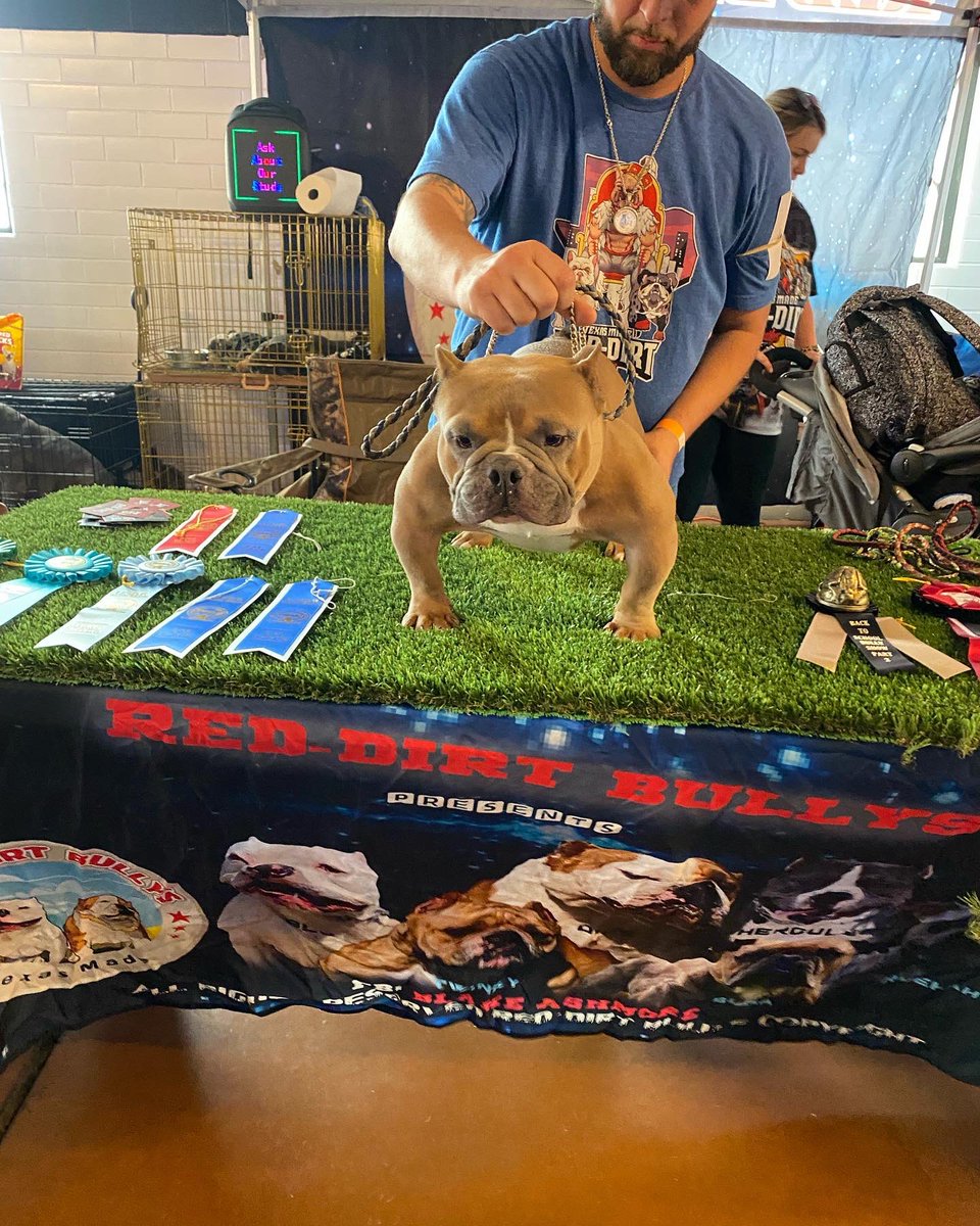 All you had to do was wait but hoe it to late I’m up now 🙌🙌🙌🙌