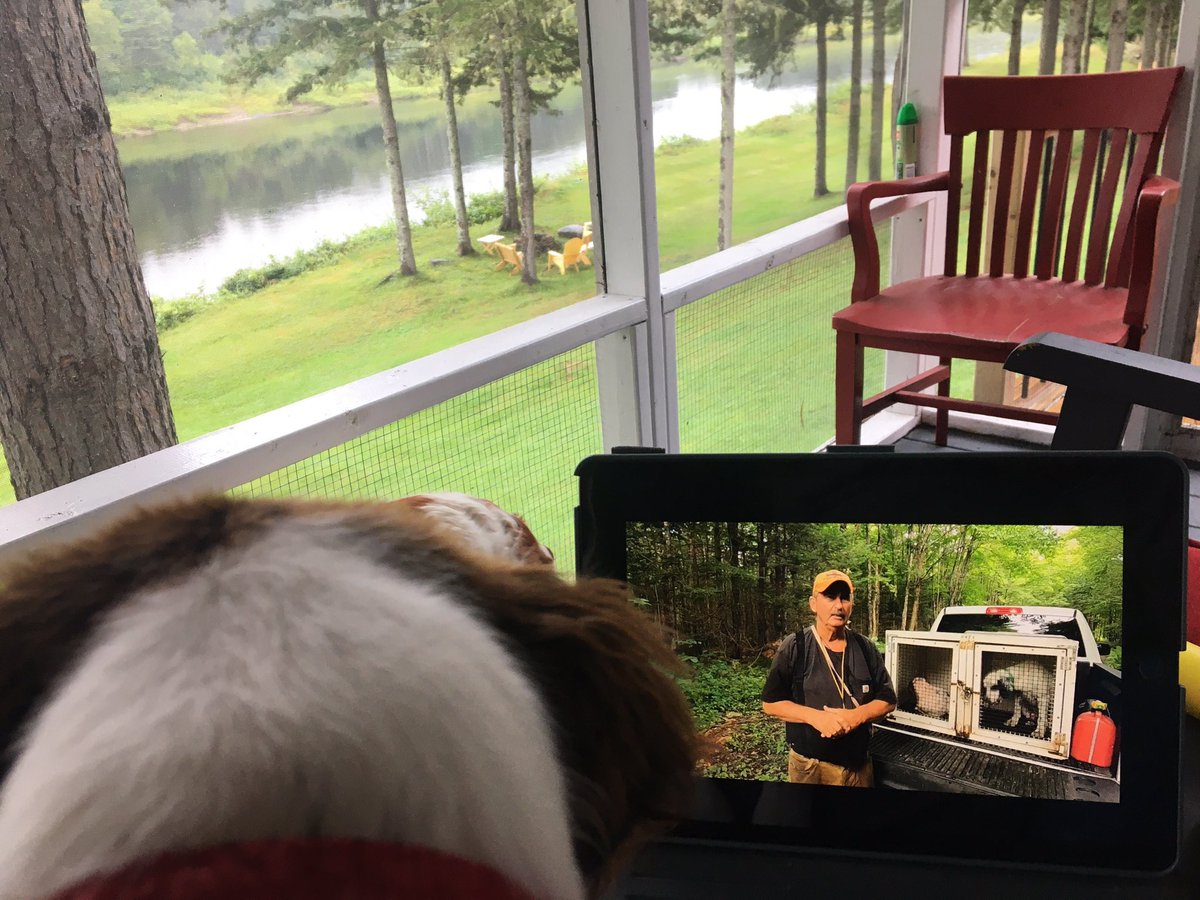 Jason Curtis tweet media