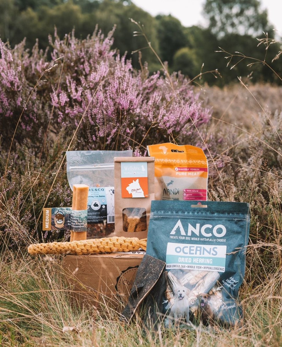 dotty4paws's tweet photo. Add variety to your #dogs diet with a #subscription box from @collarclubsub 

Packed with #natural treats and #sustainable #dogtoys it’s a great way to discover new brands &amp; pamper your pooch

SAVE 30% on your first box with CCDOTTY30 

https://t.co/ZYl4pytdcB

#Womaninbizhour https://t.co/RagSURatfU