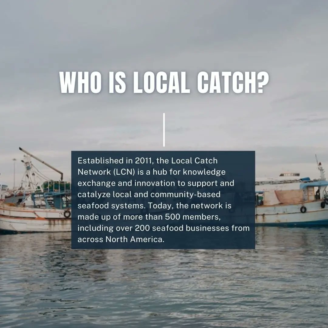 NAMA_NET's tweet photo. Celebrate local seafood harvesters this week during #FindYourSeafoodWeek!
Check out @LocalCatch to access the #FYSW toolkit with graphics, sample content, and more to help amplify your work and stories! #LocalCatch #LocalSeafood #CSF #SSF #SeafoodSystems #LocalSeafoodSystems https://t.co/0hdWJHNMYM