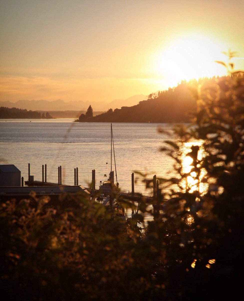 visitpierce's tweet photo. Views that make ya wanna stay just a little longer π
πΈ @teddywingo
#traveltacoma #mountaincitysea #commencementbay #salishsea #viewsfordays #leisuretravel #traveldiaries #travelstories #traveltogether #tacomawa #waterfrontdestination https://t.co/jTmTj5avMk