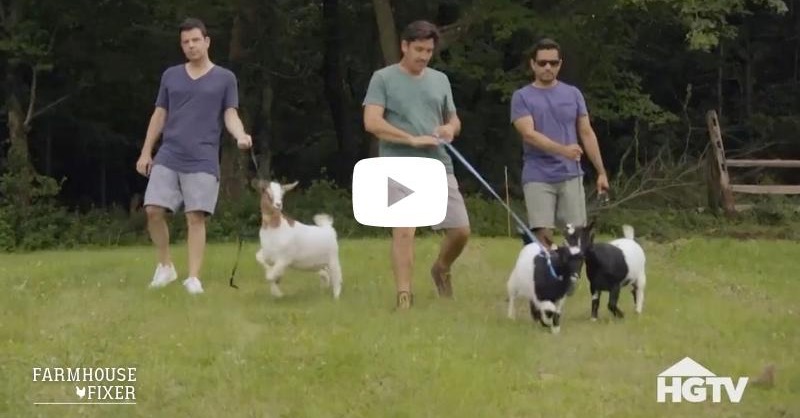 NKOTBTheBlog's tweet photo. A unicorn walking a goat, like a MAN (*)
Only on #FarmhouseFixerS2π¨, on @hgtv
New season premieres tomorrow! Also available on @discoveryplus
Bring it @jonathanrknight! π€πβΎ
(*) It's a #bhthing π