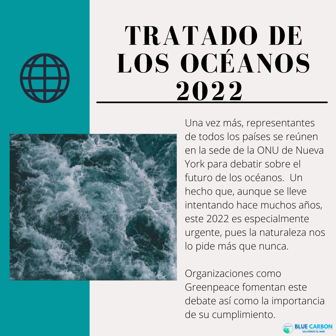 bluecarbones's tweet photo. Una vez más, el futuro de los océanos se decide con el fin de intentar salvarlos del desastre climático en el que vivimos. Este año, las negociaciones del Tratado de los océanos se ponen en debate para volver a luchar por la protección de los océanos y su bienestar. https://t.co/HiQ9XlwoKz