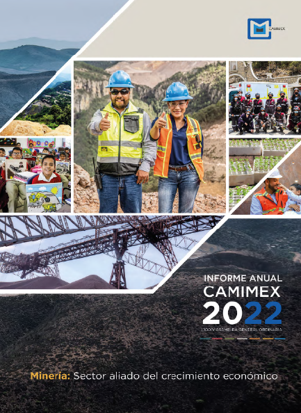 Camimex Oficial tweet media