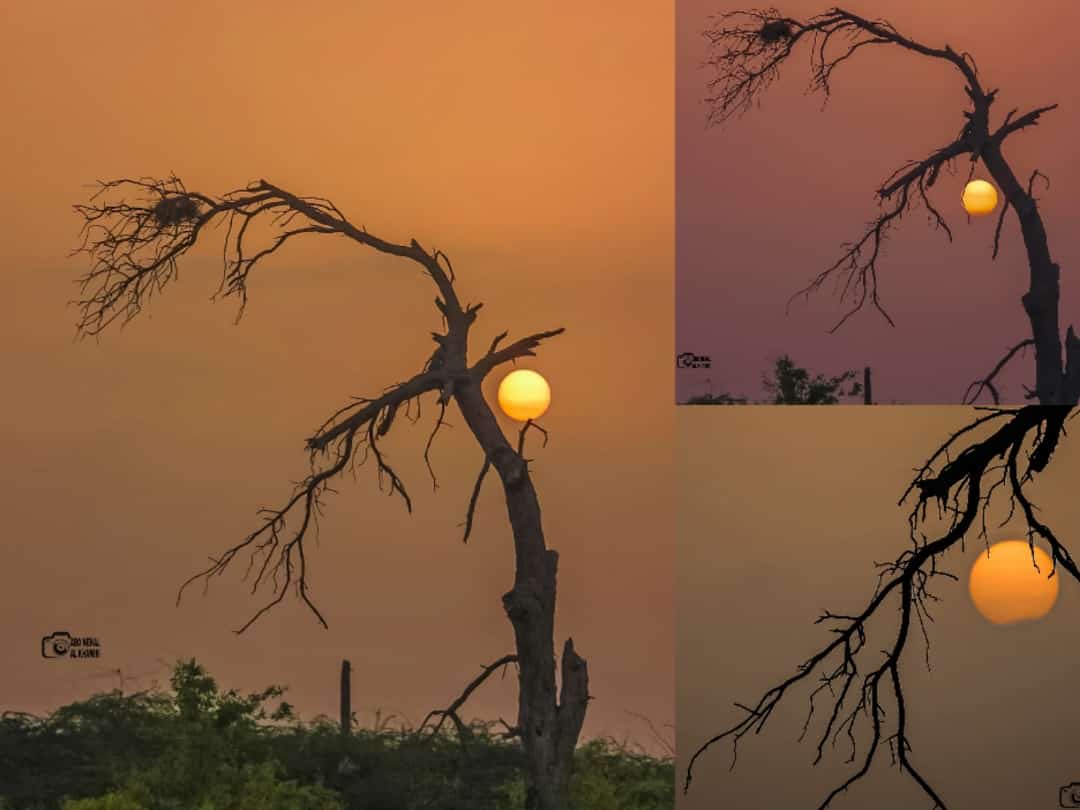 باب الخير مفتوح للجميع، لا يغلق أبداً، إسعى له حتى تجد مفاتيحه... 

تصوير 
 #هلال_الخميسي 
 #الغروب