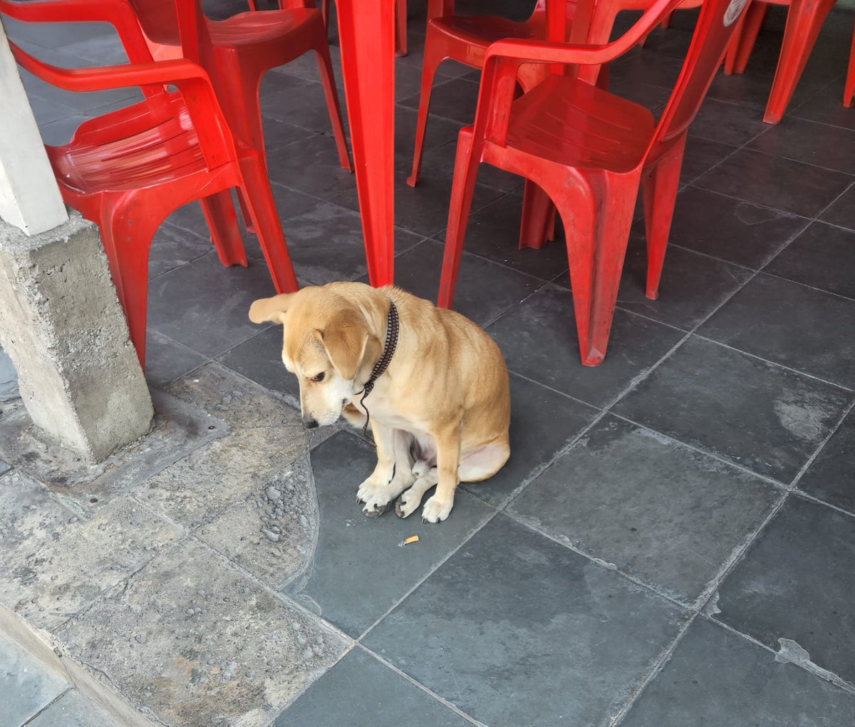 - quem é o bom garoto?
- eu já não sei mais, augusto