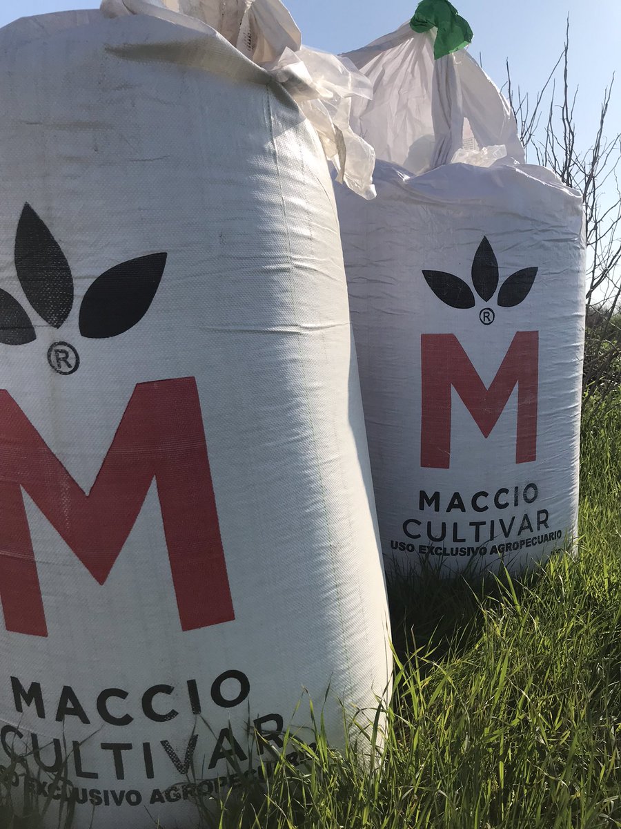 psaa_8's tweet photo. #Sy211 buen potencial y sanidad. Última urea y a esperar el agua!!! 🌾 💪 https://t.co/cjbUIJyHP7