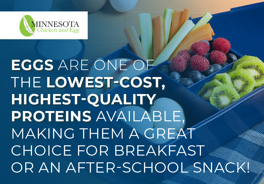There are dozens of ways to fuel your student with eggs! Whether they like them scrambled or hard-boiled, eggs are a low-cost, high-quality protein option. #Eggs #BacktoSchool