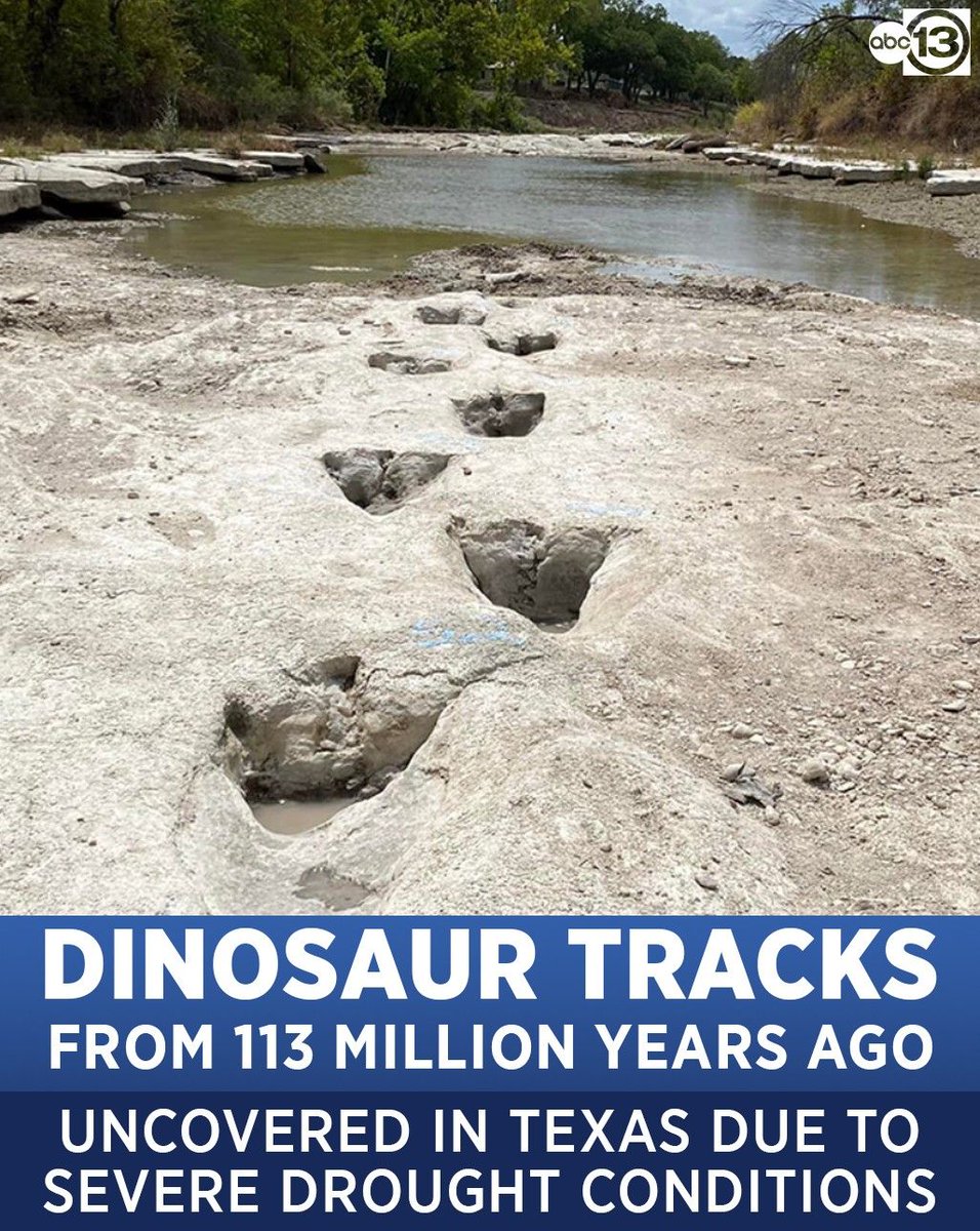 Woah! 🤯🦕 A spokesperson for Dinosaur Valley State Park said the tracks belong to the Acrocanthosaurus, which would stand, as an adult, about 15 feet tall and weigh close to seven tons.
READ MORE: abc13.com/12157477/