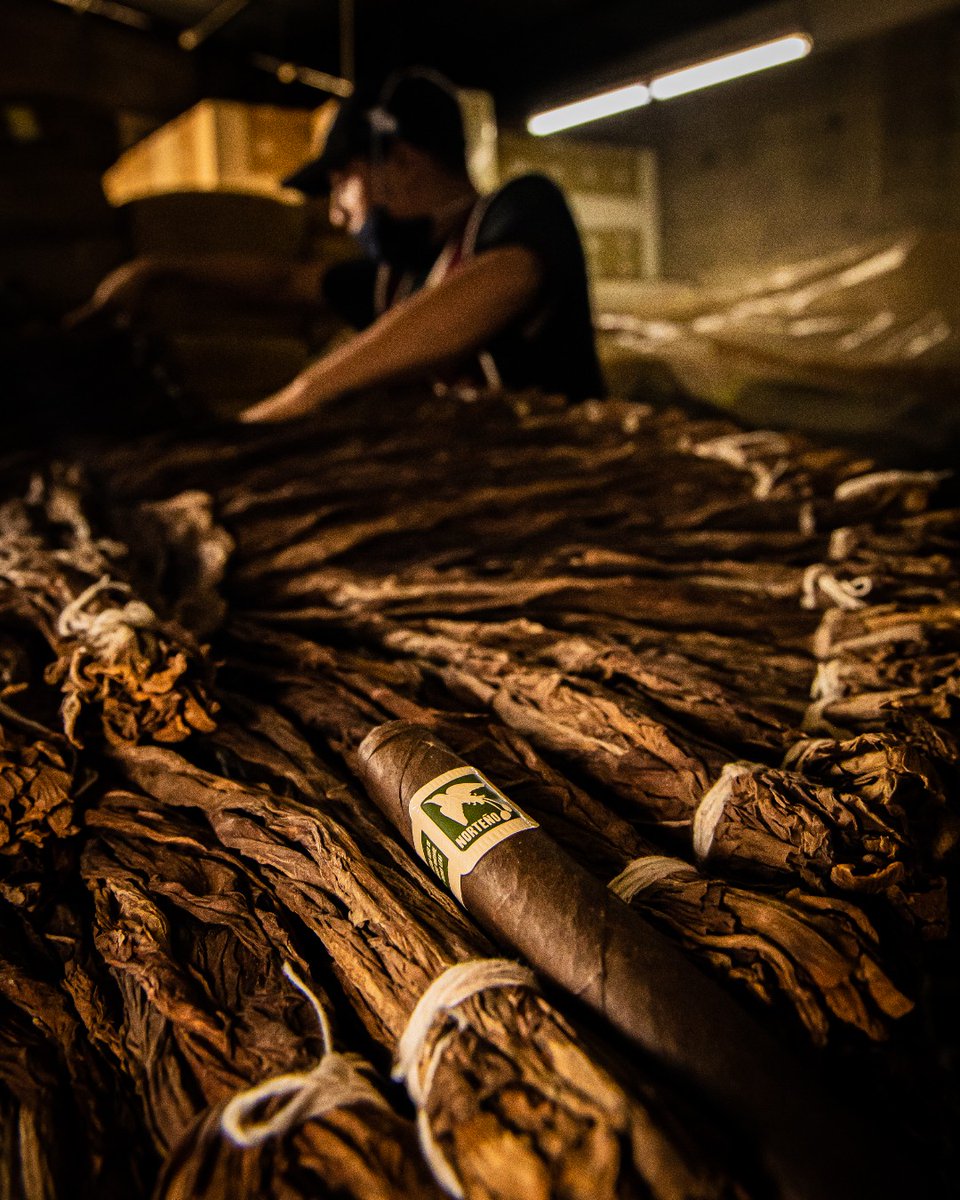 drewestatecigar's tweet photo. Norteno has a Mexican San Andres wrapper that provides a pepper spice with earthy undertones #de4l https://t.co/PMf4eEtJ15