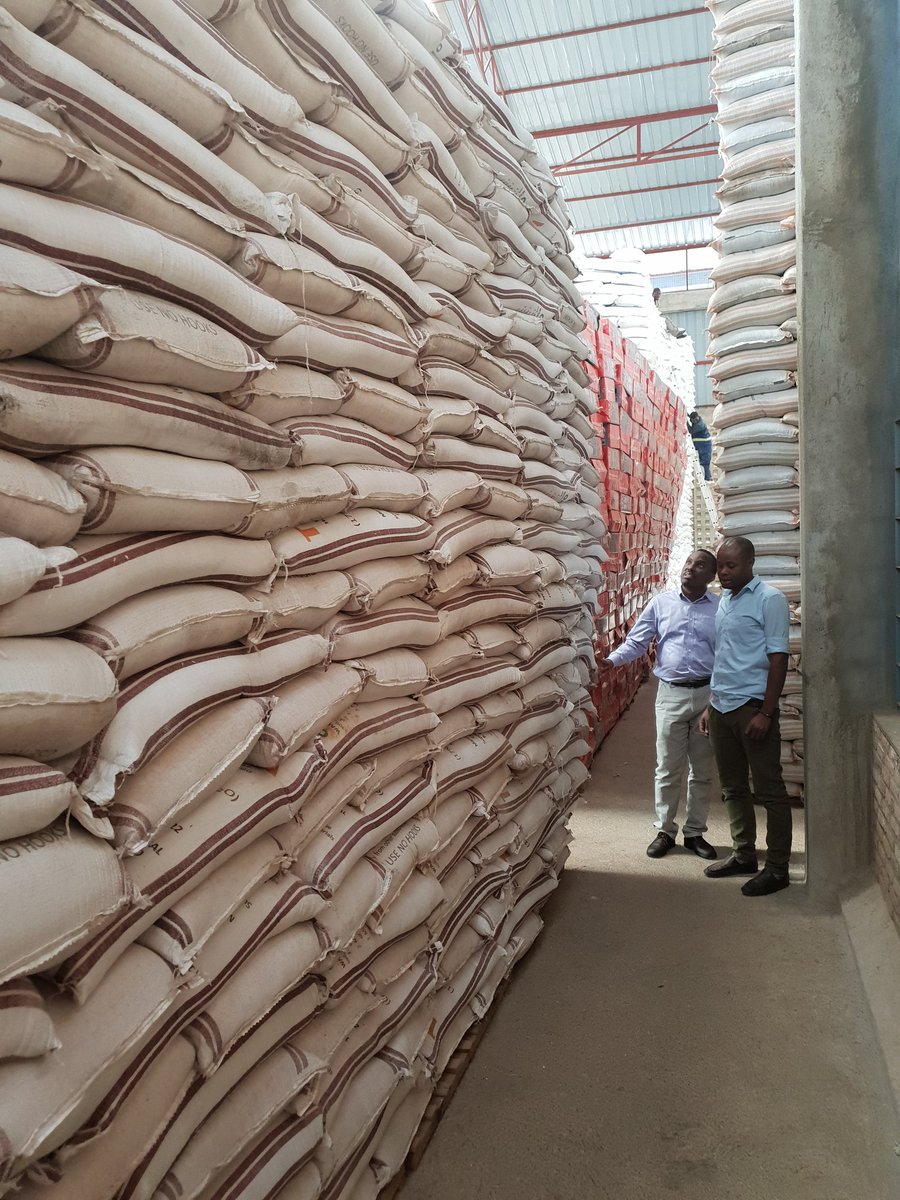 P_Karangwa's tweet photo. Visited sellers of agro-inputs today, in districts of @NyanzaDistrict and @RuhangoDistrict. Appreciated the new large and well managed inputs stock of @oneacrefundRW @NyanzaDistrict. One Acre Fund Tubura is among our important partners for agriculture transformation. https://t.co/7DWzAlhFts
