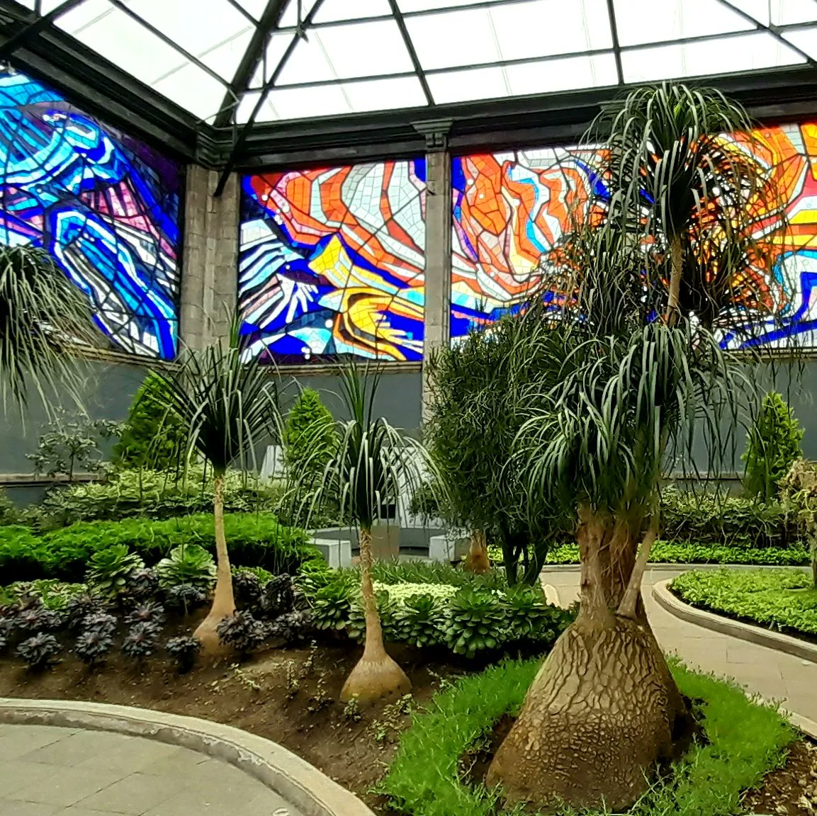 Madam_Bacteria's tweet photo. La vida está llena de pequeñas maravillas.

🍃 🍃 🍃 
#science #ciencia #biologia #biology #photograph #photooftheday #photo #fotografia #vitral #jardínbotanico #foto #wonder #naturephotography #nature #naturaleza https://t.co/RZexh07rO2