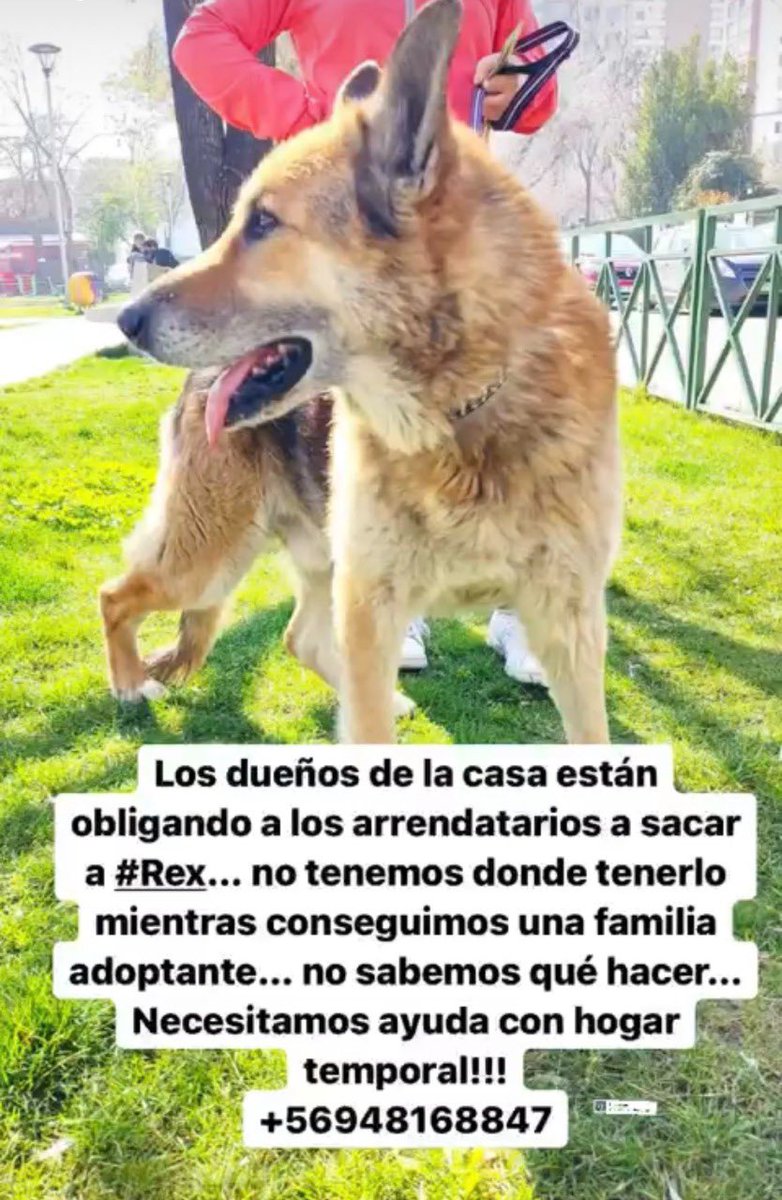 #SoyBartorell tweet media