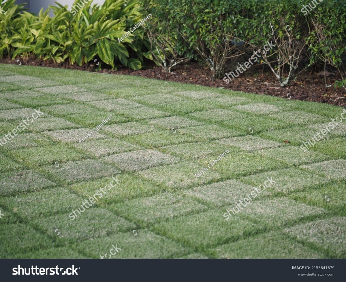 new mowing pattern coming 🔜 

all glory to god 🙏