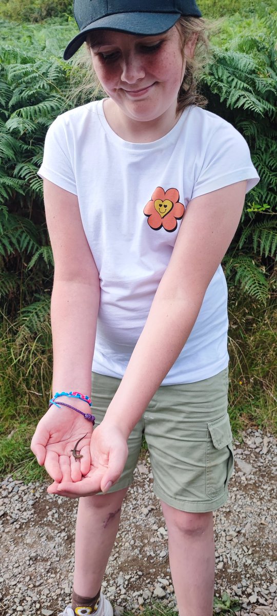 pike_kane's tweet photo. Lylah holding a little lizard we found.#ullswater @LylahPike https://t.co/0Pu2iykIc1
