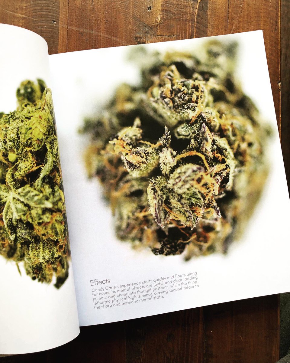 cannanaskis's tweet photo. Did a Brief History of Cannabis talk at Camp Canna on the weekend and was gifted this dope book by @valericates 
Some really cool photography in here! 
@BooksStray #yyc #cannabiscommunity #cannabis https://t.co/x9fJ1l7cyh