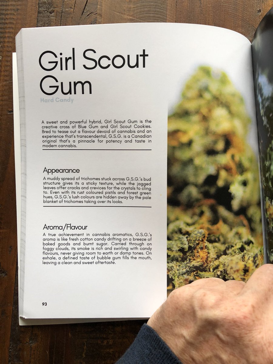 cannanaskis's tweet photo. Did a Brief History of Cannabis talk at Camp Canna on the weekend and was gifted this dope book by @valericates 
Some really cool photography in here! 
@BooksStray #yyc #cannabiscommunity #cannabis https://t.co/x9fJ1l7cyh
