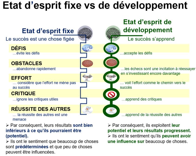 État d'esprit fixe versus état d'esprit de développement #infographie #management #RH