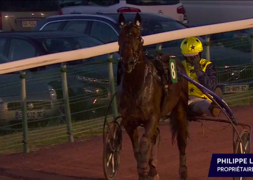 ProvinceCourses's tweet photo. Vous le suivez depuis le début avec @ProvinceCourses ⭐️Koncord Delo ⭐️ fait impression pour ses débuts. Il confirme sa bonne qualif (https://t.co/1sYLe2i96b) et donne raison à son propriétaire Philippe Levy qui avait acheté ce poulain de @mangearde en suivant nos qualifs en live https://t.co/ceNnTu2NVE