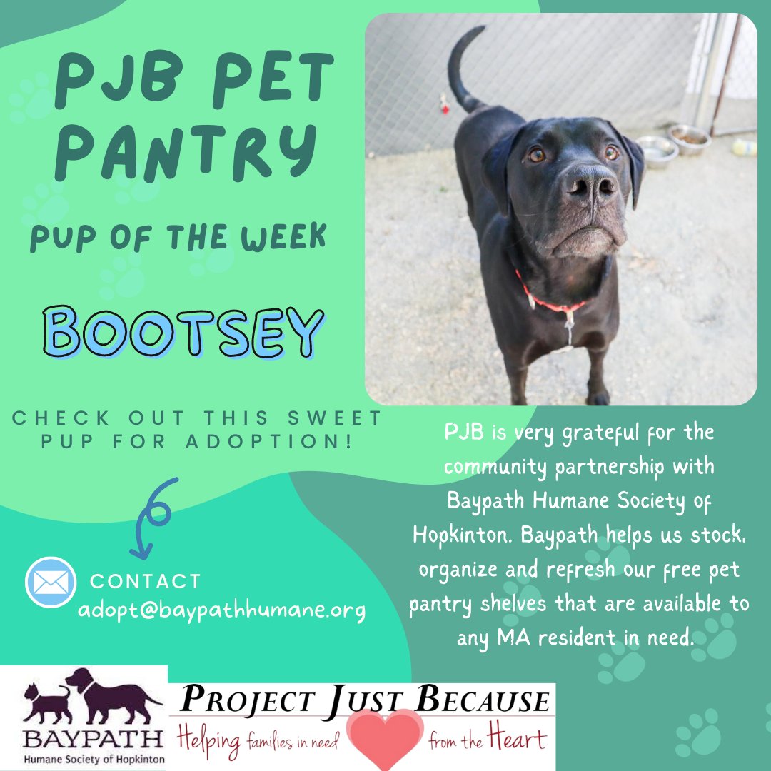 Project Just Because (@pjbhopkinton) on Twitter photo 