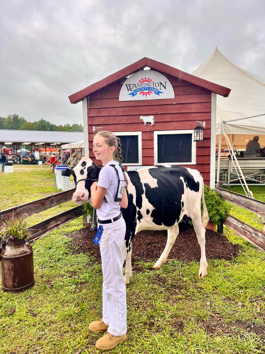 Matt Putorti tweet media