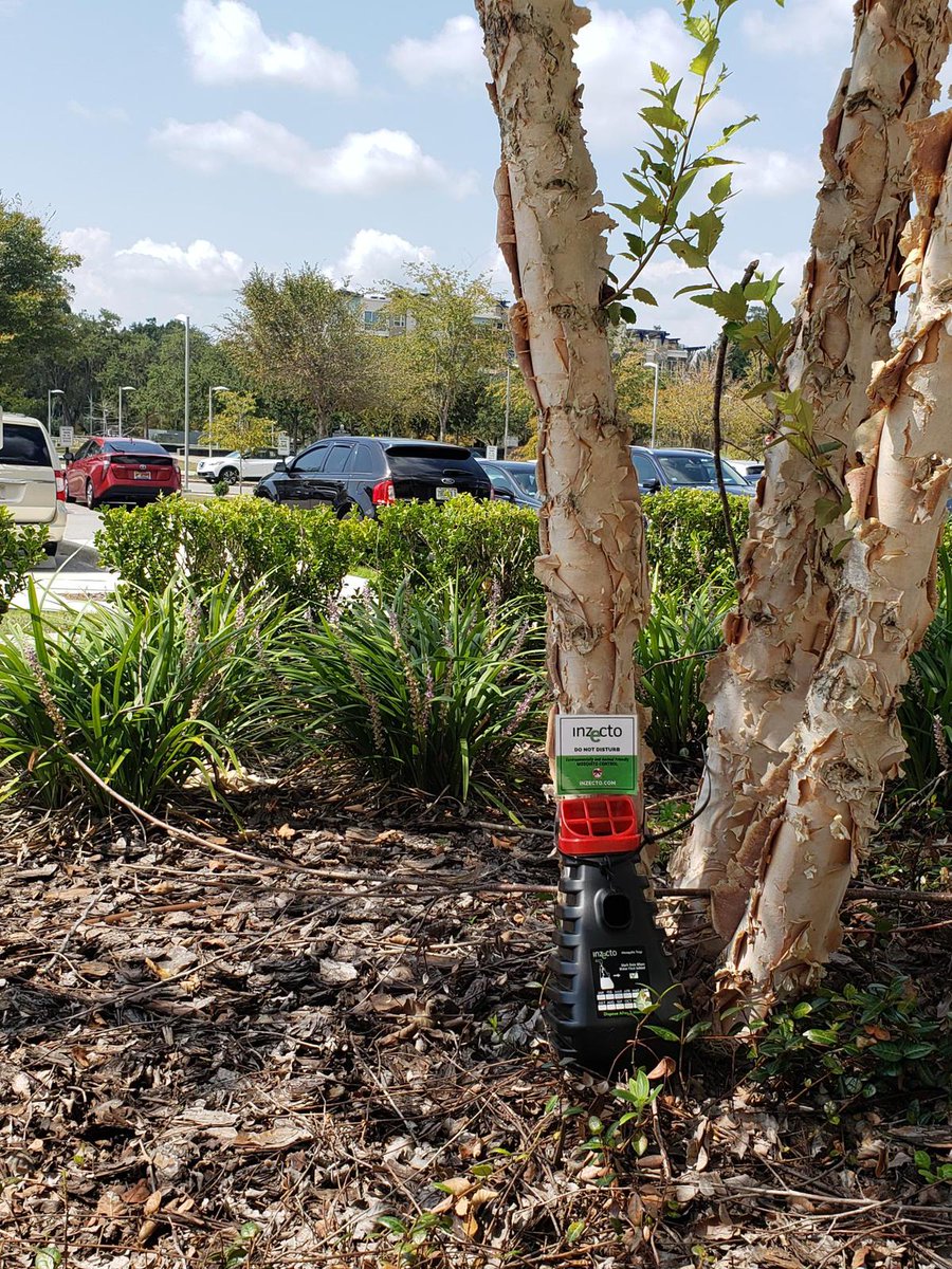 UF Innovate | Accelerate tweet media