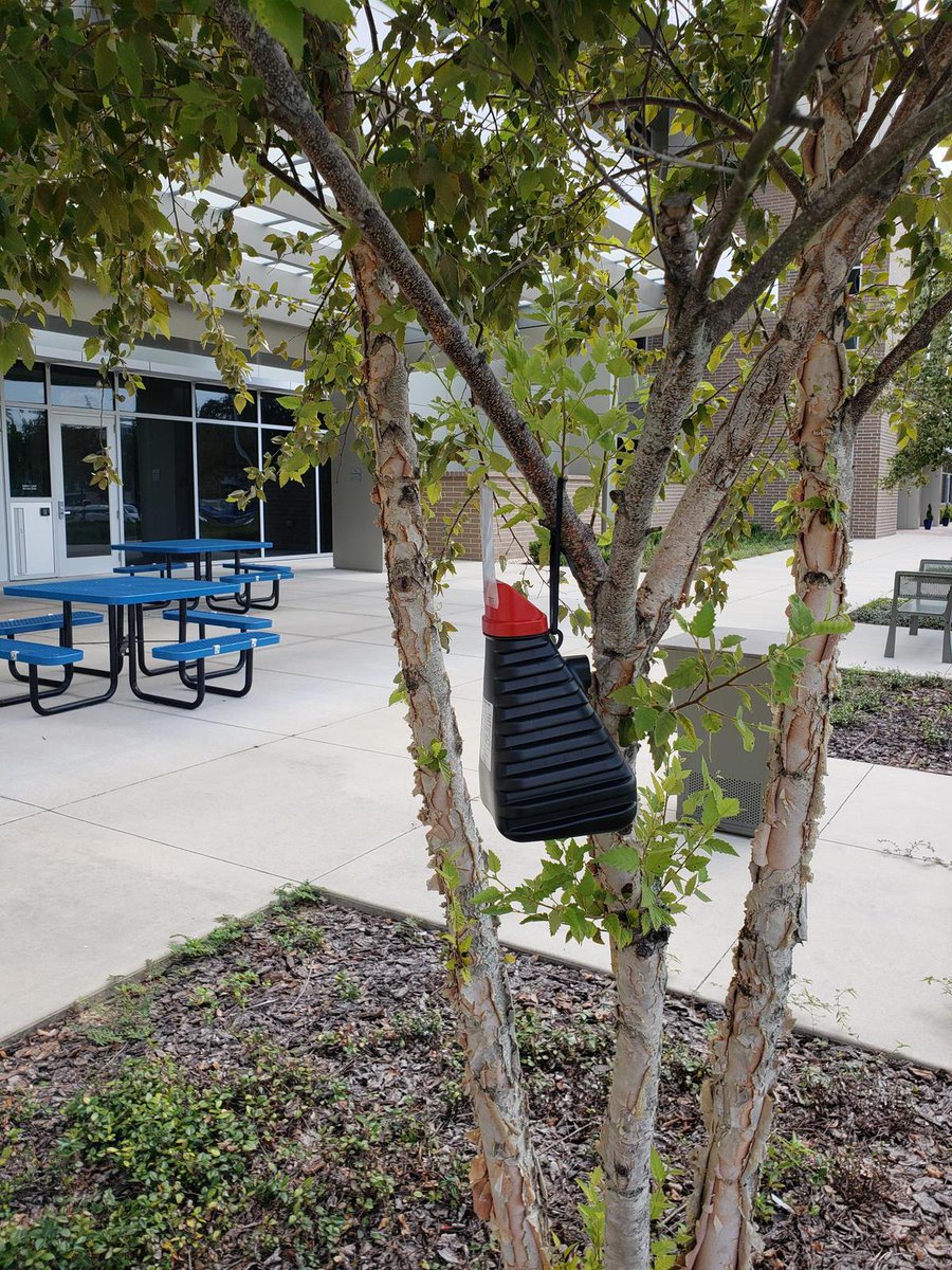 UF Innovate | Accelerate tweet media